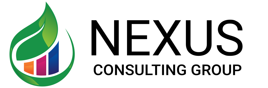 NEXUS CONSULTING GROUP INC